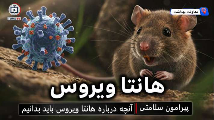 باید و نباید‌ها درباره «هانتاویروس»